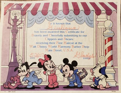 Harmony certificate.jpg